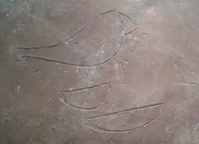 Darstellung: Iri-Hor