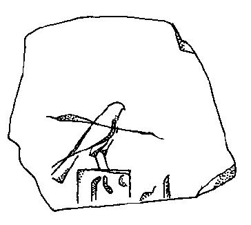 Darstellung: b „Vogel“